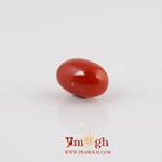 Red Coral - 4.32 Carat