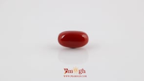 Red Coral - 5.18 Carat