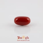 Red Coral - 5.18 Carat
