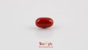 Red Coral - 4.53 Carat