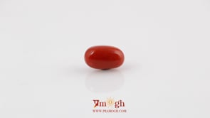 Red Coral - 4.2 Carat