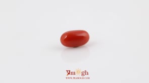 Red Coral - 4.23 Carat