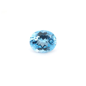 Swiss Blue Topaz - 9.21 Carat - Pramogh