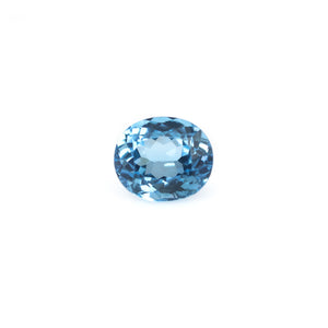 Swiss Blue Topaz - 11.09 Carat - Pramogh