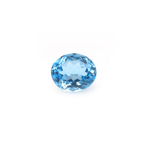 Swiss Blue Topaz - 9.93 Carat - Pramogh