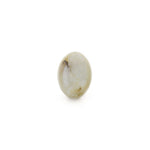 Catseye - 4.73 Carat - Pramogh