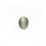 Catseye - 6.04 Carat - Pramogh