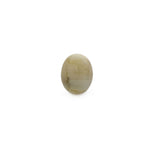Catseye - 5.73 Carat - Pramogh