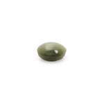 Catseye - 5.4 Carat - Pramogh