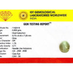 Catseye - 4.25 Carat - Pramogh