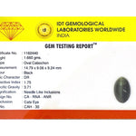Catseye - 8.3 Carat - Pramogh