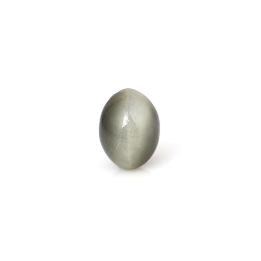Catseye - 10 Carat - Pramogh