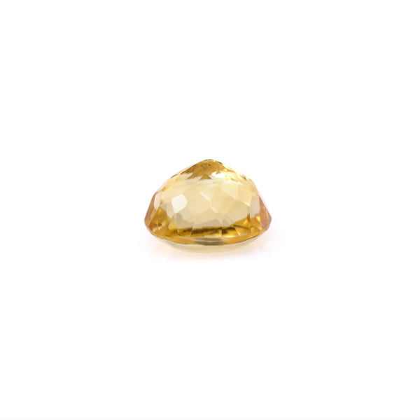 Citrine - 6.9 Carat - Pramogh