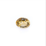 Citrine - 5.4 Carat - Pramogh