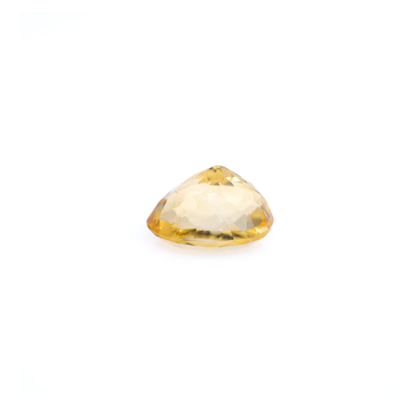 Citrine - 5.4 Carat - Pramogh