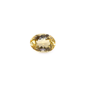 Citrine - 7.05 Carat - Pramogh