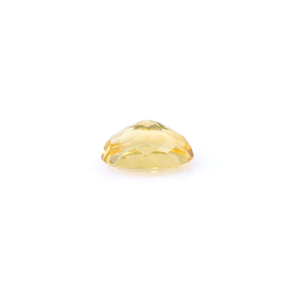 Citrine - 6.4 Carat - Pramogh