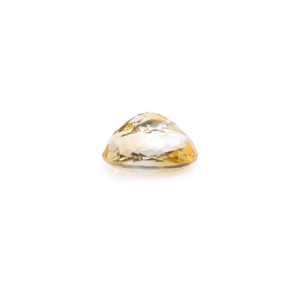 Citrine - 7.55 Carat - Pramogh