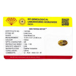 Citrine - 4.7 Carat - Pramogh