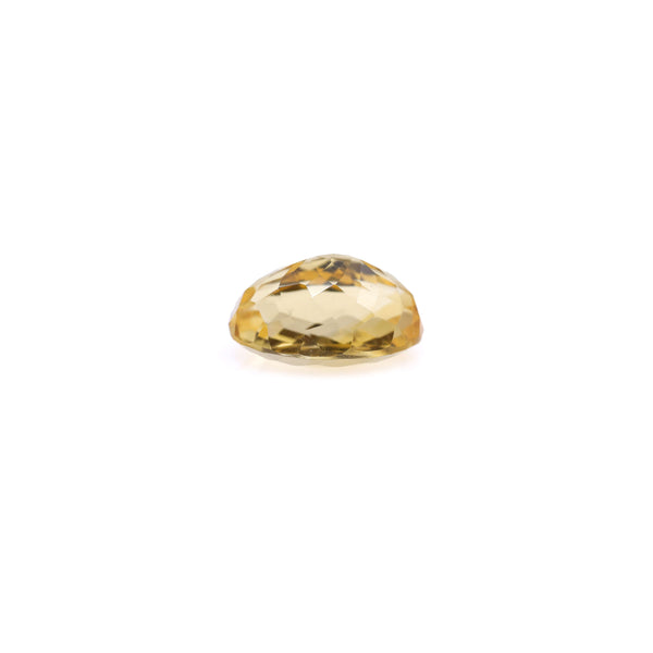 Citrine - 4.95 Carat - Pramogh