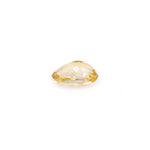 Citrine - 5.8 Carat - Pramogh