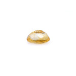 Citrine - 4.7 Carat - Pramogh