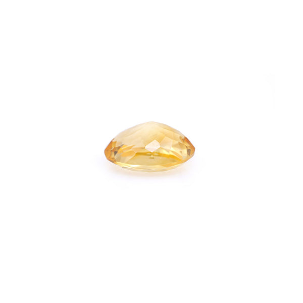 Citrine - 7.85 Carat - Pramogh