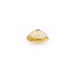 Citrine - 6.2 Carat - Pramogh