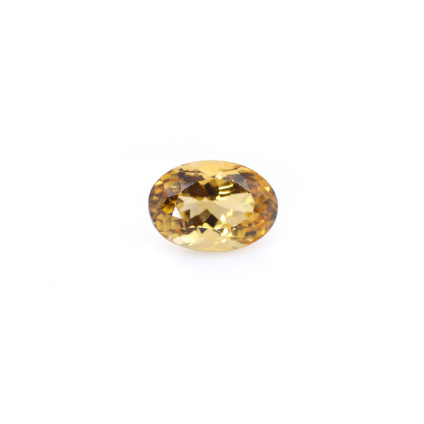 Citrine - 6.5 Carat - Pramogh