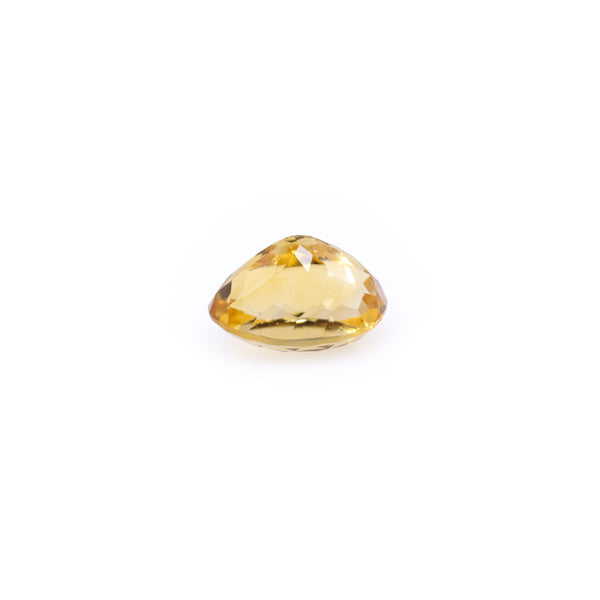 Citrine - 6.5 Carat - Pramogh