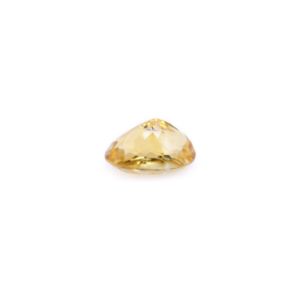 Citrine - 6.95 Carat - Pramogh