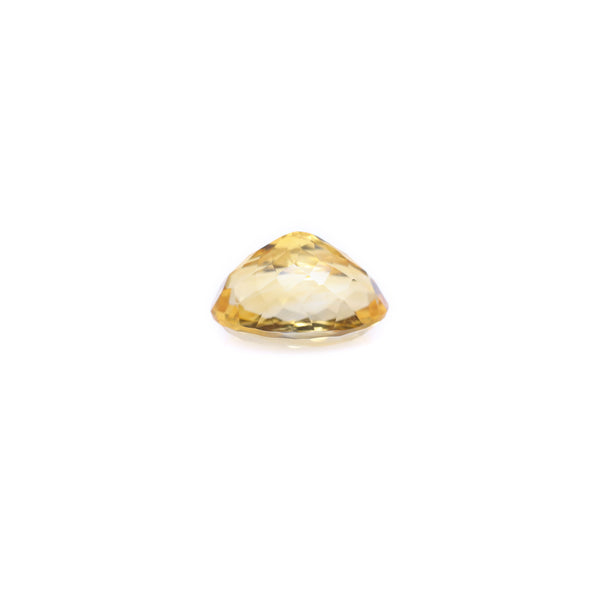 Citrine - 7.95 Carat - Pramogh