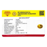 Citrine - 7.95 Carat - Pramogh