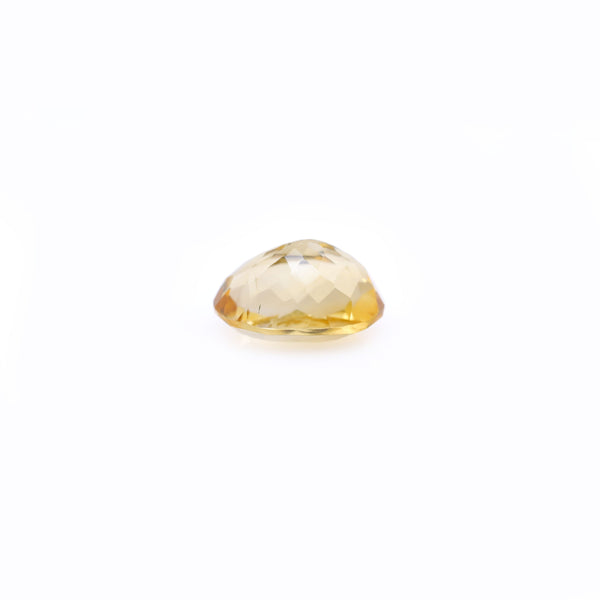 Citrine - 6.3 Carat - Pramogh