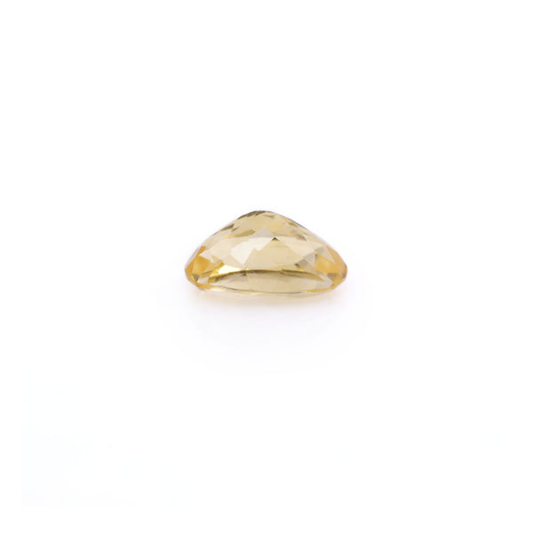 Citrine - 4.05 Carat - Pramogh