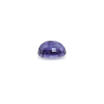 Iolite (Neeli) - 6.85 Carat - Pramogh