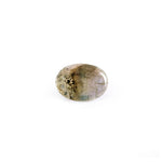 Labradorite- 3.95 Carat - Pramogh
