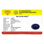 Lapis Lazuli - 12.8 Carat - Pramogh