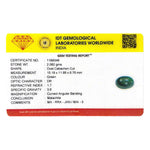 Malachite(Kidney Stone) - 10.41 Carat - Pramogh