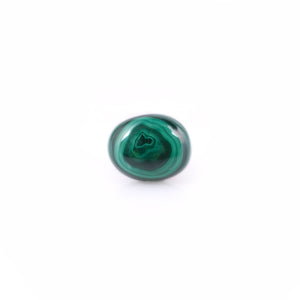 Malachite(Kidney Stone) - 10.5 Carat - Pramogh