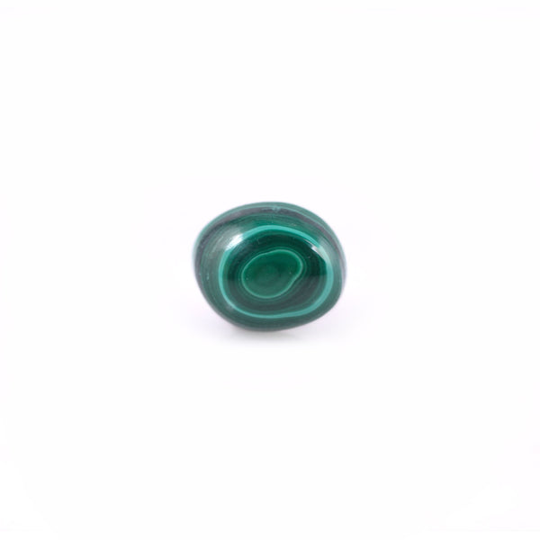 Malachite(Kidney Stone) - 11.01 Carat - Pramogh