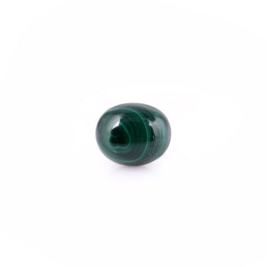 Malachite(Kidney Stone) - 11.55 Carat - Pramogh