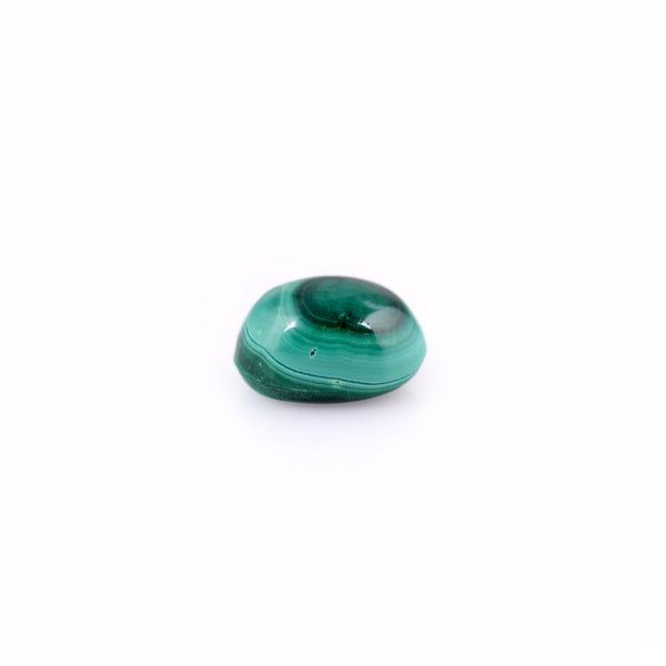 Malachite(Kidney Stone) - 11.34 Carat - Pramogh