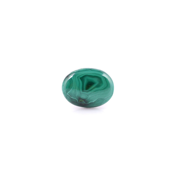 Malachite(Kidney Stone) - 19.2 Carat - Pramogh