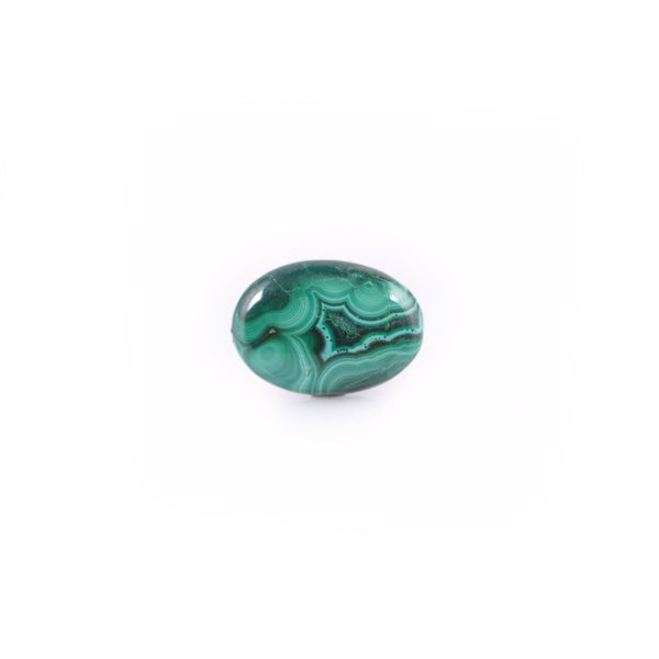 Malachite(Kidney Stone) - 13.09 Carat - Pramogh