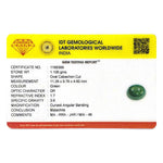 Malachite(Kidney Stone) - 5.53 Carat - Pramogh
