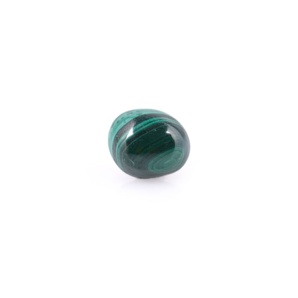 Malachite(Kidney Stone) - 4.63 Carat - Pramogh