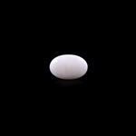 Opal- 16.1 Carat - Pramogh