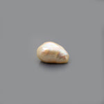 Keshi Pearl - 13.35 Carat - Pramogh