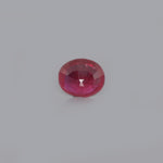 Ruby - 4.6 Carat - Pramogh